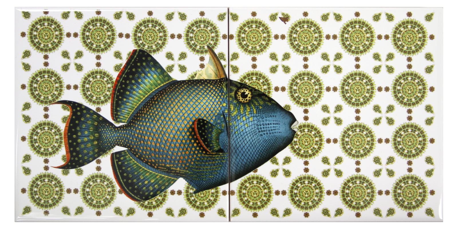 Santa Tosta Drückerfisch Blaugold Fliesenbild