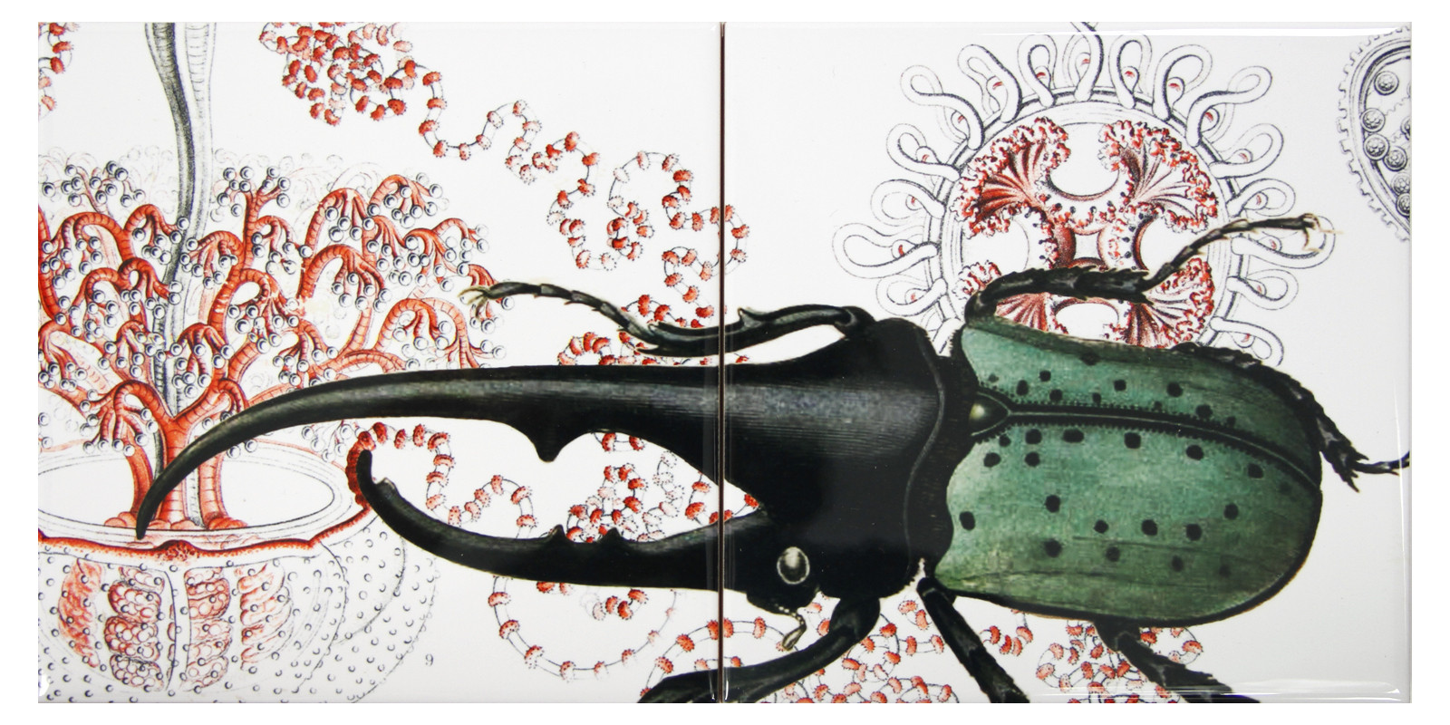 Santa Tosta | Käfer Flliesenbild Santa Tosta | Käfer Flliesenbild